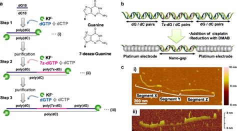 metal nanoarchitecture dna template